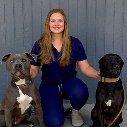 Dr. Anna Tompkins, La Pine Veterinarian